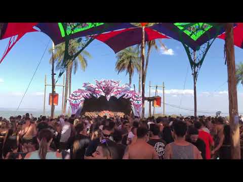 High Paradise Festival 2019 - Animato