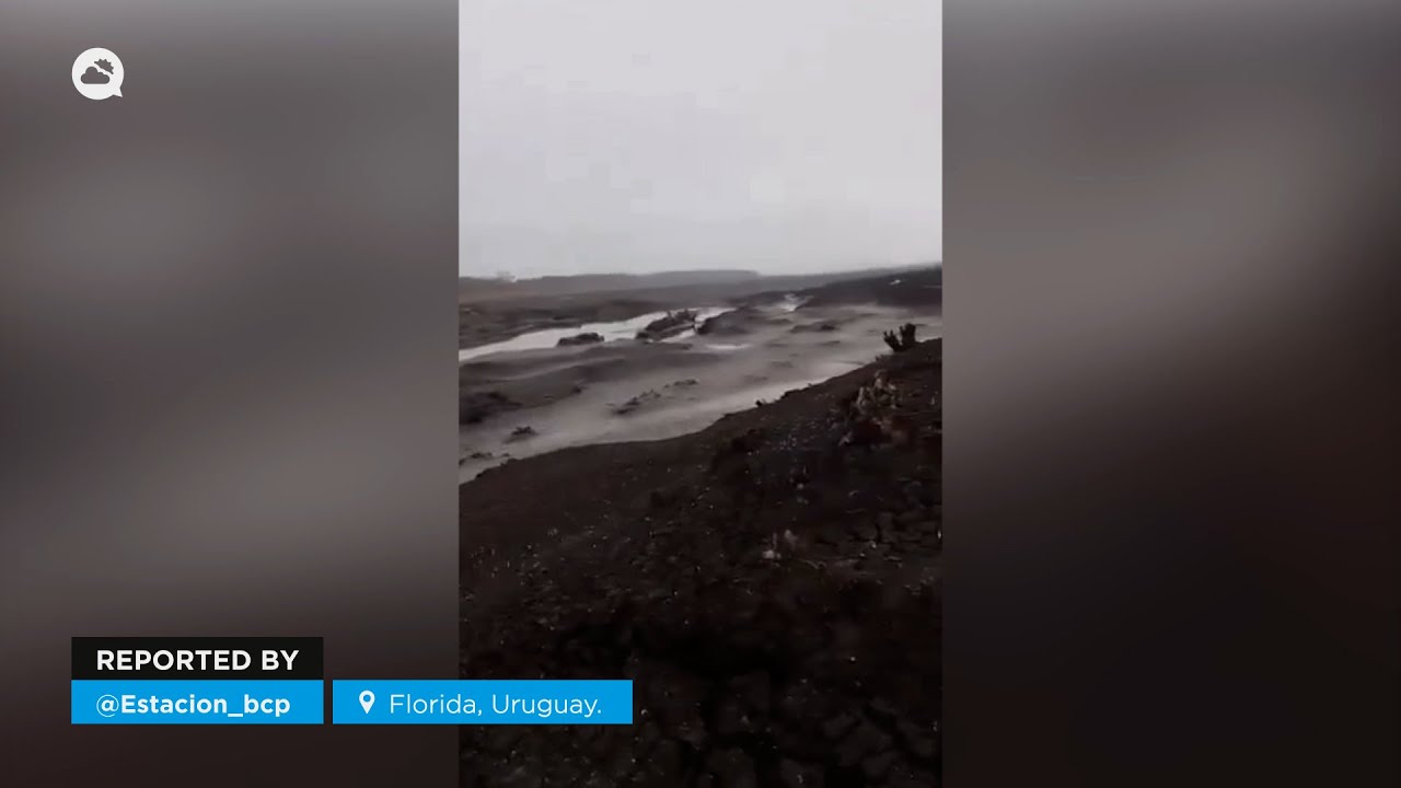 youtube video id=EVTJKZflj1s