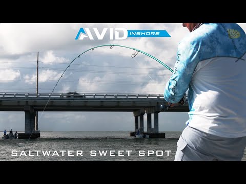 Inshore fishin...