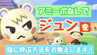 【あつ森】アミーボなしでジュンを島に呼ぶ方法！※成功例多数！