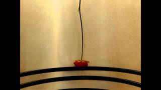 Alexandre Desplat  - I Need You