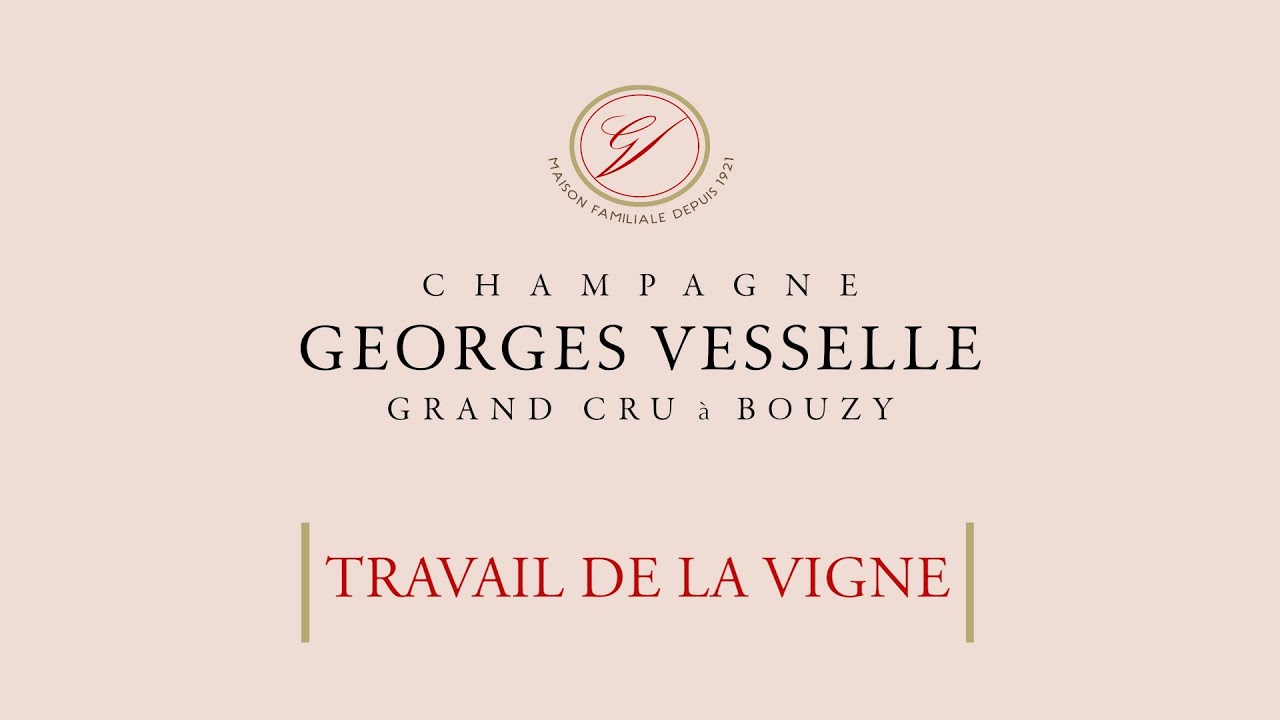 Le Travail de la Vigne en vidéo pour Champagne Georges Vesselle