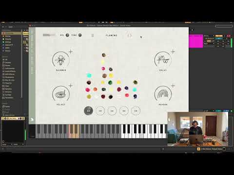 Dot Allison - Dulcet Voices - O melhor VST de vozes do planeta - #1 TheCrow Hill Company