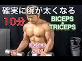 この10分で確実に腕が太くなる[Biceps&Triceps]