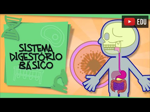 Sistema Digestório - para crianças