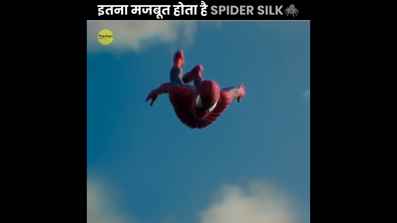 Power Of SPIDER SILK 🕷️