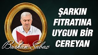 Dr. Burhan Sabaz - Şark İçin Çözümler - 4 - Şarkın Fıtratına Muvafık Bir Cereyan Veriniz...