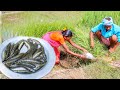 Santali Tribe Grandmaa FISHING And Cooking FISH CURRY Recipe For Lunch