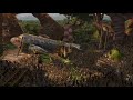 Madagascar Take Off Flight To NYC