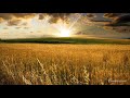 Relaxing Sound Healing Mix - 1 Hour - Best INNER PEACE Music