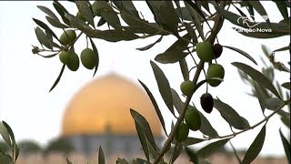 Frei comenta o simbolismo dos alimentos da Terra Santa