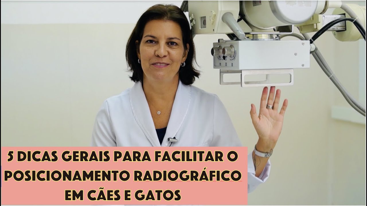 5 Dicas GERAIS para facilitar o posicionamento radiográfico em cães e gatos
