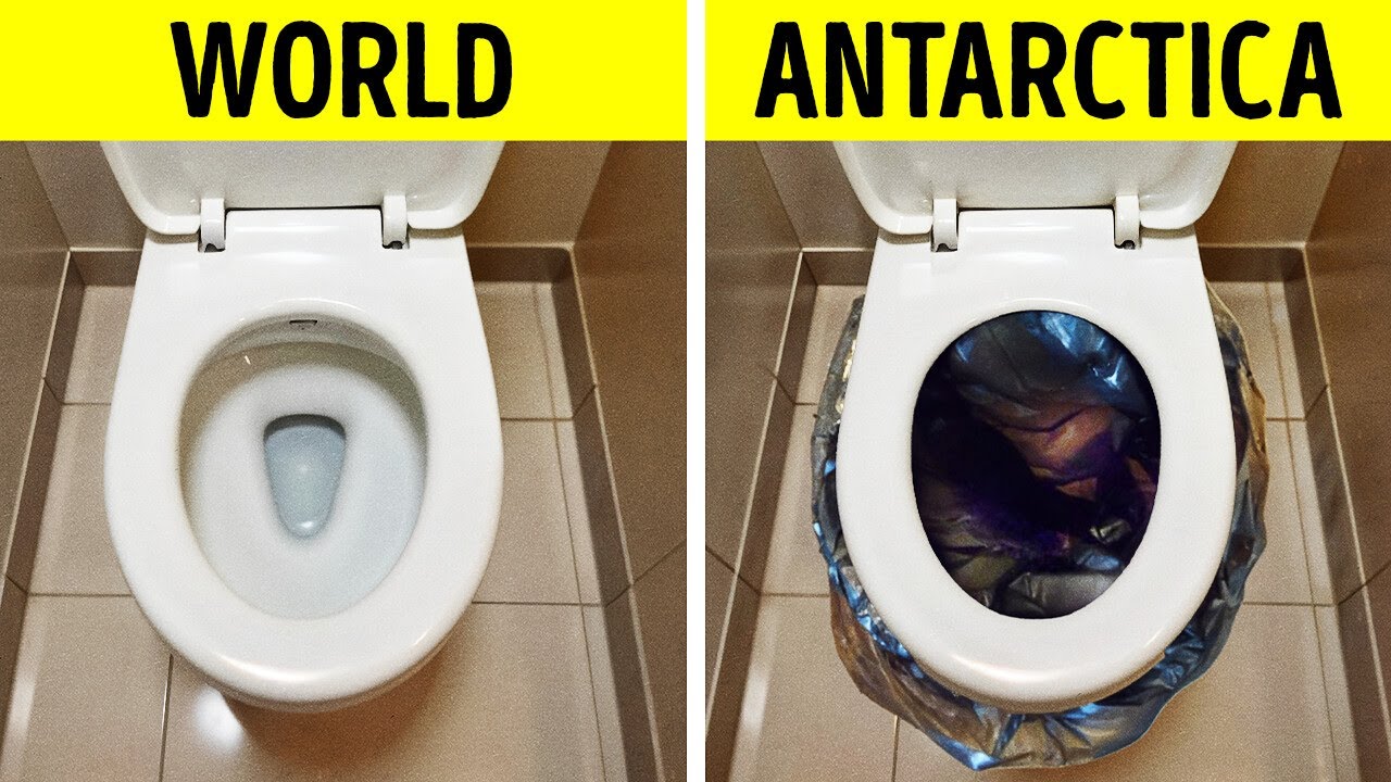 Strange Things You’ll Never Believe Are Banned in Antarctica