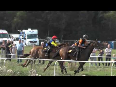 14 sierpnia 2016 Gonitwa 3/6 Wolbrom