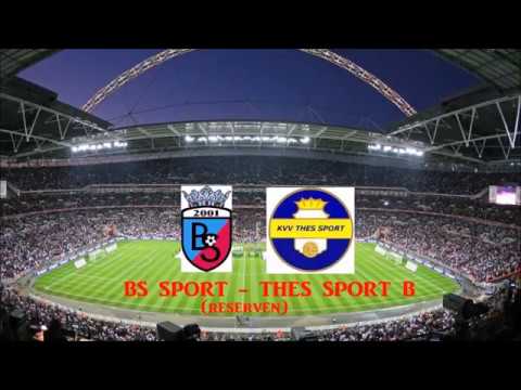 BS Sport - Thes Sport: samenvatting