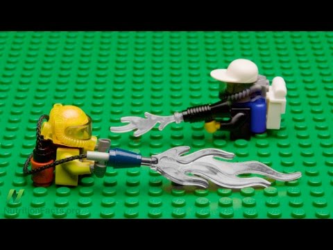 Are Organic Foods More Nutritious