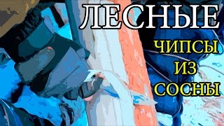 Дикая кухня - КАК ПРИГОТОВИТЬ ЧИПСЫ ИЗ СОСНЫ - How To Make Thin and Crispy Chips From Pine
