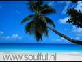 Stevie Wonder - My Love is on fire (DJ Spinna Remix)