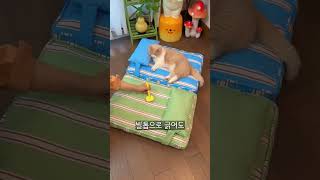 유튜브 썸네일