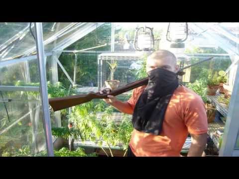 Dan Nebunu cu TC168 - Inapoi in trecut