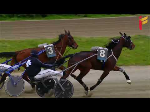 IV Corsa del 19 Marzo 2022 - 4 Anni - Metri 1600 - Gentlemen