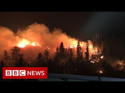 コロラド州、記録的な山火事と闘う - BBC ニュース (Colorado battles a record-breaking wildfire - BBC News)