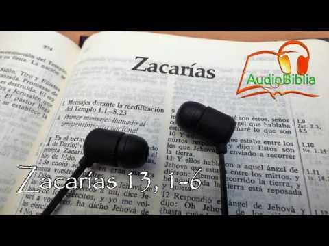Zacarías 13, 1-6