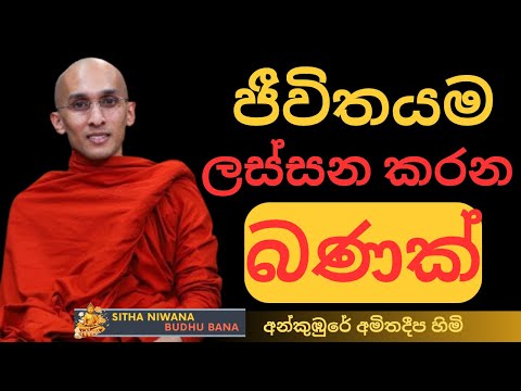 Ankumbure Amithadeepa Himi #mahamevnawa Bana | නුවණ තියෙන තරුණ දරුවන්ට ජීවිතේ ම ලස්සන කරන බණක්