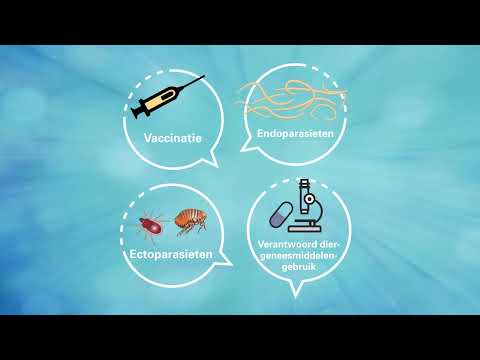 Veterinair Preventie Professional - Een opleiding van MSD Animal Health Academy