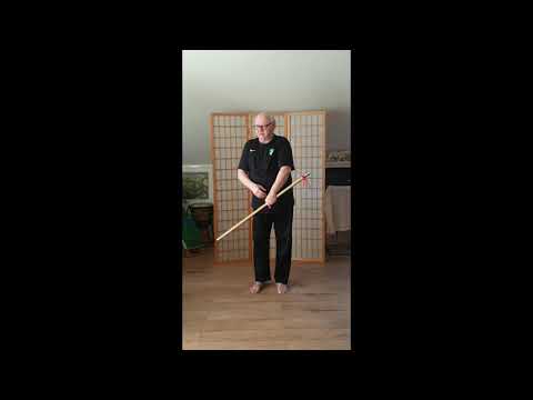 Videotraining Hanbo-Jutsu des TuS 05 Quettingen e.V.