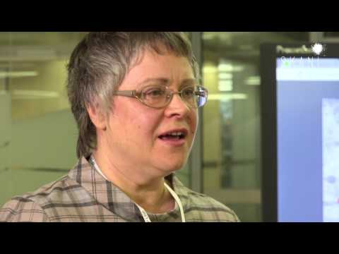 Albuma "Dzimuši 1906. Dārziņš. Ivanovs" prezentācija LNB