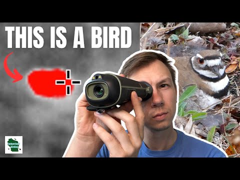 Is Thermal Technology for Birding a Game Changer? (Teslong Thermal Monocular Review)