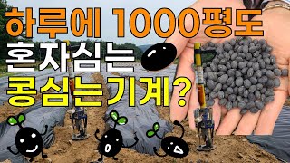 혼자 천평도 심는 9만원짜리 콩심는기계 서리태콩 파종기 - bean sowing machine