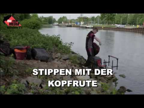 Trailer - Stippen mit Kopfrute