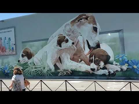 PINOY SA MADRID : SAMAHAN NYO AKO SA ROAD TRIP KO MULA GUADARRAMA TO MADRID CENTER