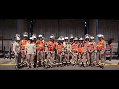 Campaña: Tu mejor regalo, tu Seguridad! 7