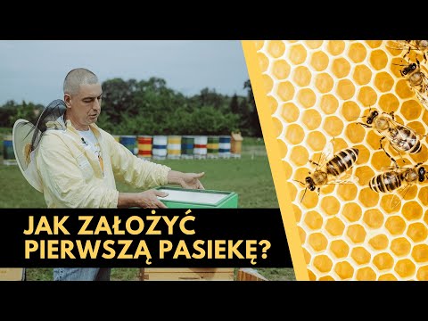 , title : 'Jak założyć pierwszą pasiekę? Odcinek 4. cyklu - Jak zostać pszczelarzem? Dr Dariusz Karwan'