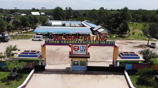 preview picture of video 'Taman Kehati Mesuji Lampung'