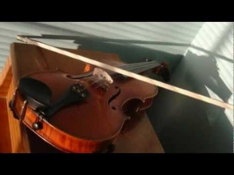 Violin String