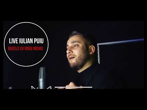 Iulian Puiu - Buzele cu rosu inchis Live (2021)