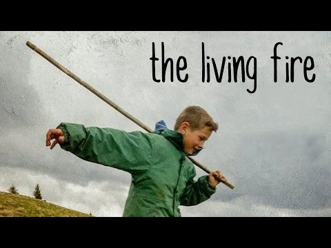 The Living Fire - Stikla