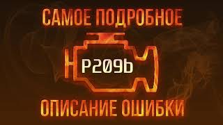 Що таке dtc p209b