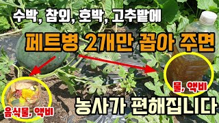 수박참외호박고추밭에 페트병 2개만 꼽아 주면 웃거름추비 주기 쉽고 농사가 편해집니다 페트병관수방법 페트병음식…