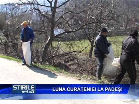 Luna curăţeniei la Padeş