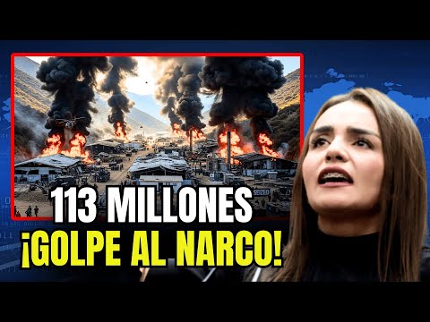 Grecia Quiroz DECOMISA: ¡GOLPE de 113 MILLONES al narco! Ejército destruye 7 laboratorios en Sinaloa