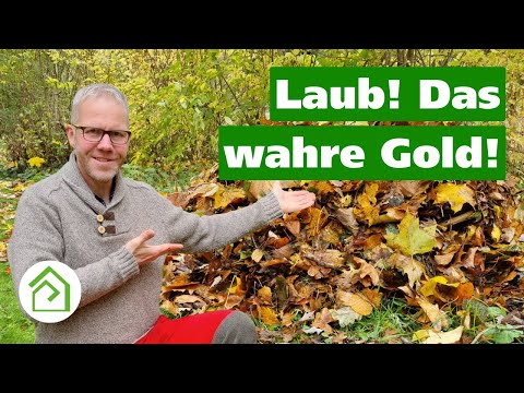Laub im Garten: Kein Müll, sondern Gold für Deinen Garten !