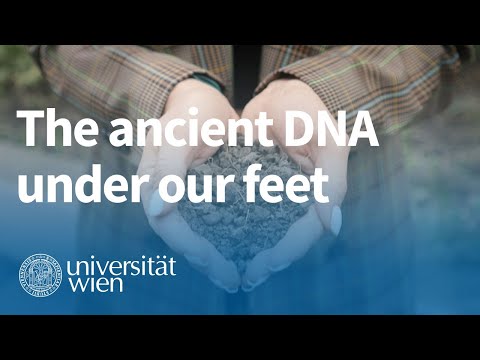 Ancient DNA: Victoria Oberreiter explains her research