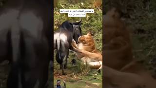 صراع اللحظات الأخيرة: كيف انقلبت اللعبة فيثانية؟ 😱🔥#shorts