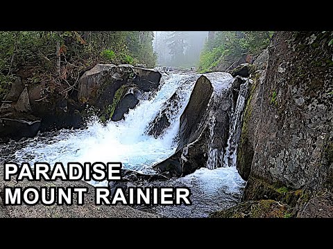 PARADISE – MOUNT RAINIER National Park / Waterfalls & Wildflowers