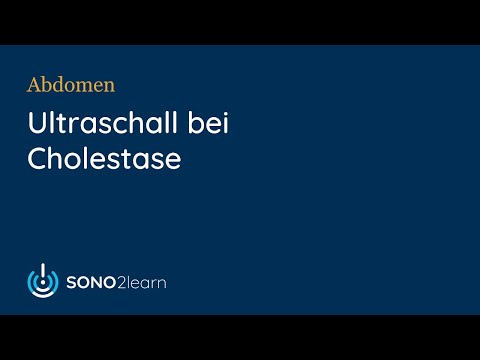 Sonografie bei Cholestase
